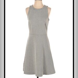 Ann Taylor LOFT
Beige Striped Classic Fit & Flare Dress